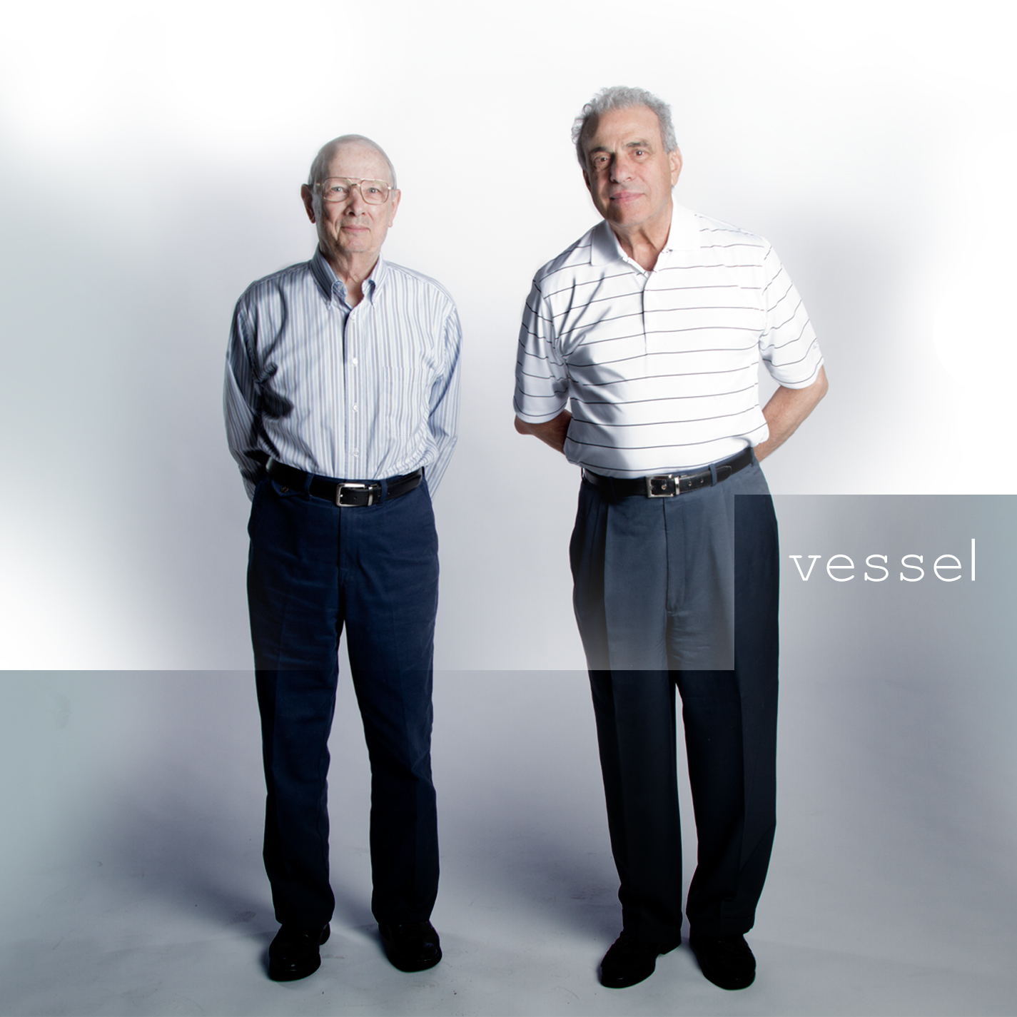 Twenty One Pilots - Vessel, Vinyl Album